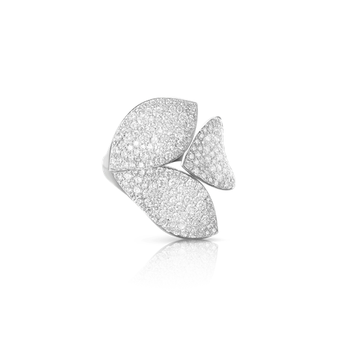 Pasquale Bruni Giardini Segreti 