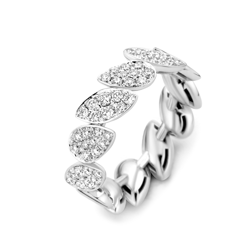 Antonellis Mambo Ring
