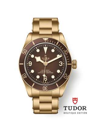 Tudor Black Bay